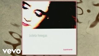 Julieta Venegas  Instantanea Cover AudioVideo [upl. by Annekam239]