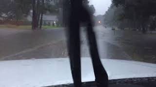 Harvey flooding Conroe tx [upl. by Orelle]