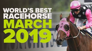 WORLDS BEST RACEHORSE  March 2019 [upl. by Nwotna]