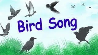 1 Hour of Relaxing Bird Songs in Wood Birds Chirping [upl. by Ttelrats]