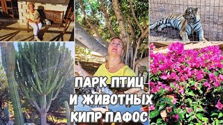 Кипр ПафосЗоопарк на КипреПарк птиц и животныхТоп мест на Кипре куда стоит сходить зимойВлог2 Ч [upl. by Aidua]