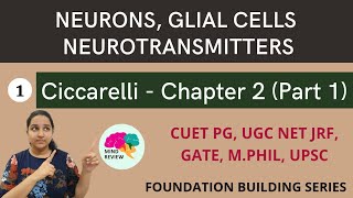 Ciccarelli Chapter 2  Part 1  Neurons Glial Cells Neurotransmitters  Mind Review [upl. by Eldin]