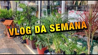 COMPOSTEIRA DE CHÃO PLANTAS MEDICINAIS E MUITO MAIS  VLOG [upl. by Tap]