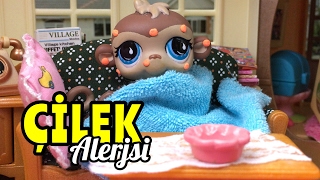 Minişler Alerji  Minişler Cupcake Tv  Littlest Pet Shop [upl. by Buffy]