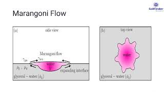 Marangoni Flow [upl. by Nerty736]