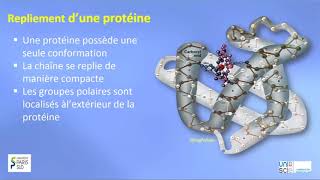 TRILOGIQUE Semaine 3 Vidéo 5 Structure tertiaire et quaternaire des protéines [upl. by Merill486]