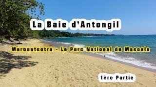 MADAGASCAR  Baie D Antongil  Maroantsetra  Masoala  13 [upl. by Ennayhc]