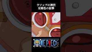 【MAD】ウソップの神技 見聞色の狙撃 ワンピース onepiece アニメ [upl. by Notxed691]