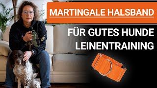 🐶 Stephanie Salostowitz ➡️Martingale Halsband für gutes Hunde Leinentraining 🐶✔️ [upl. by Trela]