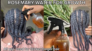 ROSEMARY FOR FULLER LONGER HAIR NO MORE HAIR LOSS [upl. by Enihsnus]