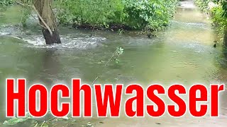 Hochwasser im Wald [upl. by Tekcirk640]