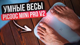 Умные весы Picooc Mini Pro V2 Разбор функционала полный обзор [upl. by Aekerly]