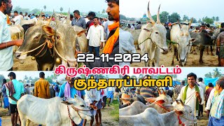 பகுதி 2 குந்தாரப்பள்ளி மாட்டு சந்தை கிருஷ்ணகிரி மாவட்டம் நாட்டு மாடு TN24 sakthi vlogs [upl. by Arac]