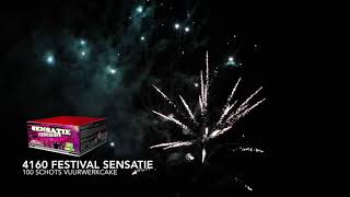 Festival Sensatie  Vuurwerk  China Red  Intratuin  2022 [upl. by Asirret32]