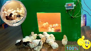 BEST INCUBATOR FOR CHICKEN EGGS WITH 100 EFFICIENCY  DIYHOMEMADE EGG INCUBATOR  YOU CAN DO THIS [upl. by Rainger]