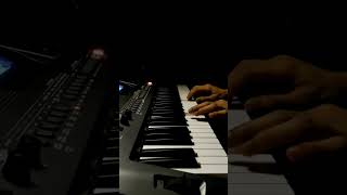 Animal movie emotional bgm  Papa meri jaan song on keyboard  Nanna nuv naa pranam song on keyboard [upl. by Ingraham]