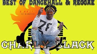 Charly Black Mixtape Best of Dancehall Reggae Mix by djeasy [upl. by Eiznil]