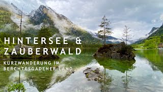 Der wunderschöne Hintersee amp Zauberwald bei Ramsau  Berchtesgadener Land  kleine Wanderung  4K [upl. by Gladwin]