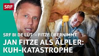 Jan Fitze als Älpler ringt mit den Kühen in «ZAlp»  Fitze übernimmt S2 24 – SRF bi de Lüt  SRF [upl. by Ykceb]