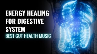 Improve Your Digestive Health  Energy Healing for Digestive System  Best Gut Health Music  528 Hz [upl. by Vange]