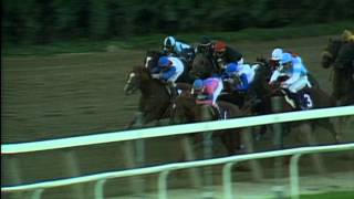 1990 Breeders Cup Classic [upl. by Atniuqal373]