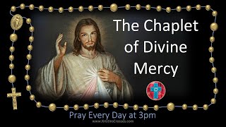 Pray the Chaplet of Divine Mercy the 3 oclock prayer multilanguage cc subtitles [upl. by Cohette]