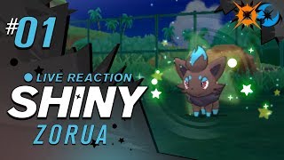 WHAT A COOL SHINY SHINY ZORUA  Pokemon Ultra Sun and Moon Shiny Reaction 1  CBAD [upl. by Roshelle]