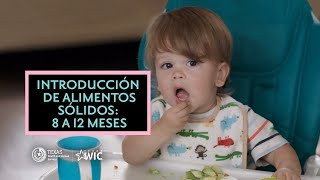 Introducción de Alimentos Sólidos 8 a 12 Meses  Texas WIC para el Apoyo de la Lactancia [upl. by Debby]