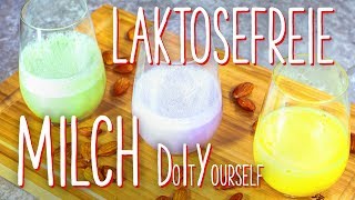 Laktosefreie Milch  DO IT YOURSELF [upl. by Nerra]