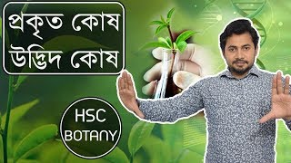 05 Plant Cell  Eukaryotic Cell  HSC Botany  প্রকৃত কোষ  উদ্ভিদ কোষ [upl. by Eibbil785]