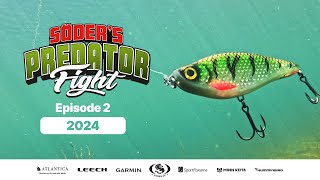 Predator Fight 2024  Episode 2 Multiple subtitles [upl. by Minsat]