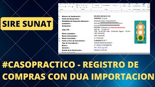 CasoPractico SIRE Registro de Compras con DUA de importación [upl. by Nhguav463]