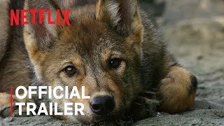 Island of the Sea Wolves  Official Trailer  Netflix [upl. by Hibbitts]