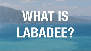 WHAT IS LABADEE [upl. by Ettedanreb485]