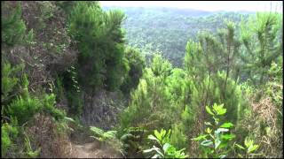 La Palma  Wandern auf quotLa Isla bonitaquot [upl. by Edaw]