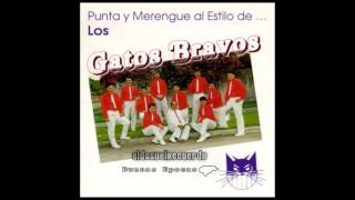 Los Gatos bravos  La Caracola [upl. by Chapland]