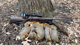 Early fall squirrel hunt with Cz 457 22 Lr and got some big fox squirrelsEp8 [upl. by Onilegna]