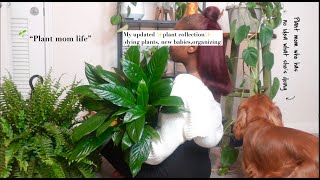 Houseplant Tour Updated 2024  plants in my small apartment 🌿 Diaries a struggling plant mom [upl. by Edana]