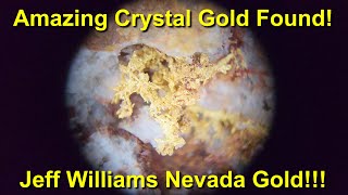 Amazing Crystalline Gold Found In Nevada From Jeff Williams Gold Mine [upl. by Drawyeh]