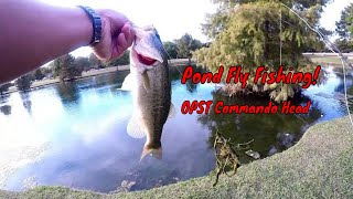 Pond Fly Fishing for Bluegill and Bass  Foam Grasshopper Works [upl. by Khalin]