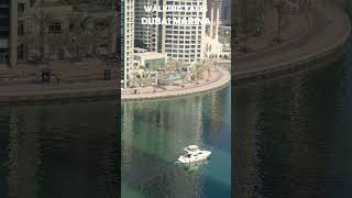 Walking Tour of Dubai Marina  People in Marina and Environment  dubai sharjah [upl. by Connors]