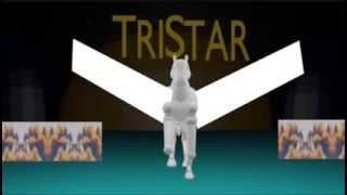 TriStar Pictures Logo 1993 with Sony Pictures Entertainment byline [upl. by Arleen237]