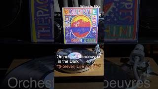 Orchestral Manoeuvres in the Dark quotForever Live and Diequot shorts 80smusic レコード vinyls 80年代洋楽 [upl. by Annay]