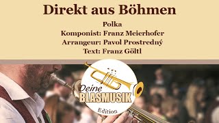 Direkt aus Böhmen Instrumentalversion [upl. by Jones552]