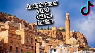 ‎‏diyarbekir yoluna  لەڕێگای دیاربەکر xoshtrin gorani TikTok [upl. by Zoellick]