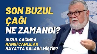 Son Buzul Çağı Ne Zamandı Buzul Çağında Hangi Canlılar Hayatta Kalabilmiştir [upl. by Imray]