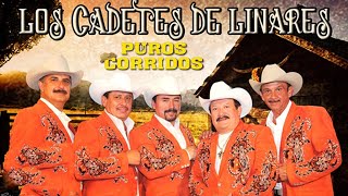 Los Cadetes De Linares  15 Boleros de Oro  Viejitas Pero Bonitas Mix [upl. by Erny637]