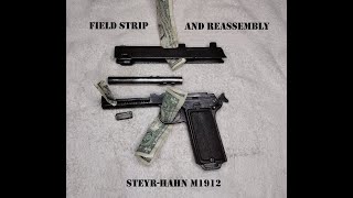 SteyrHahn M1912 Field Strip and Reassembly [upl. by Attecnoc]