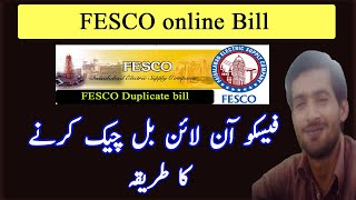 fesco online  bill checking  tutorial  on FESCO website [upl. by Cadal]