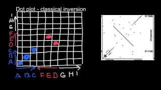 Bioinformatics Dot Matrix  how to interpret results  6 [upl. by Ardnazxela]